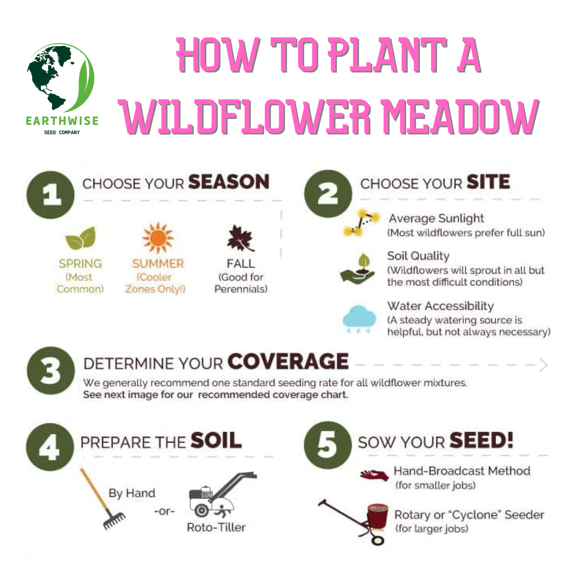 Knee High Wildflower Meadow Blend